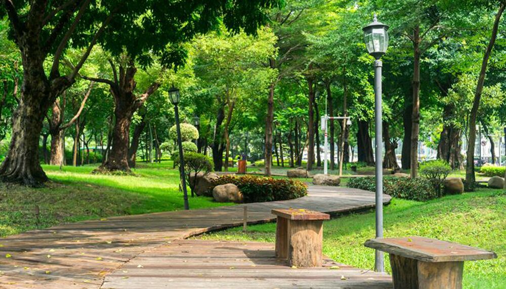 Kalyani, West Bengal 
